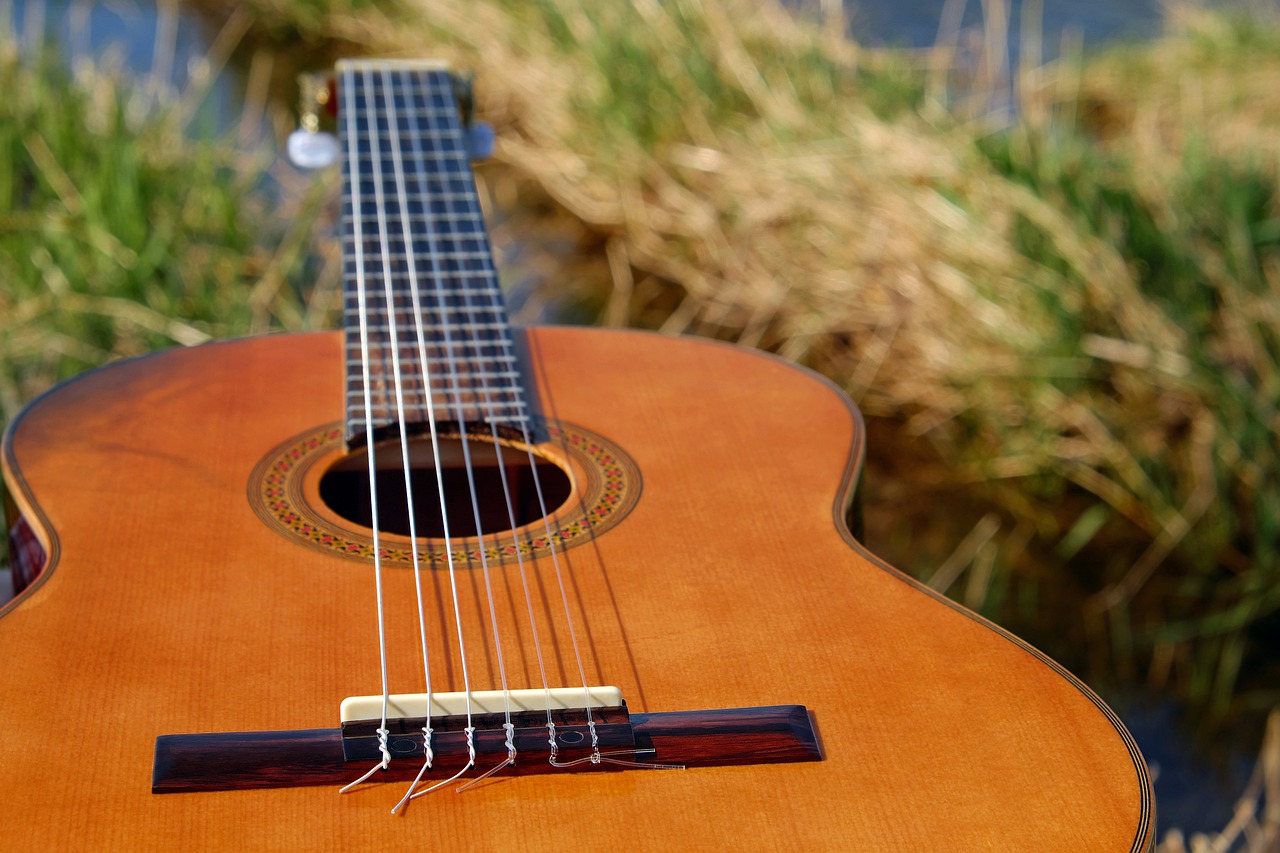 Songwriting for Guitarists